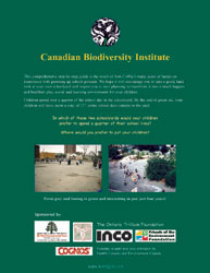 Back cover: A Guide to Transforming School Grounds